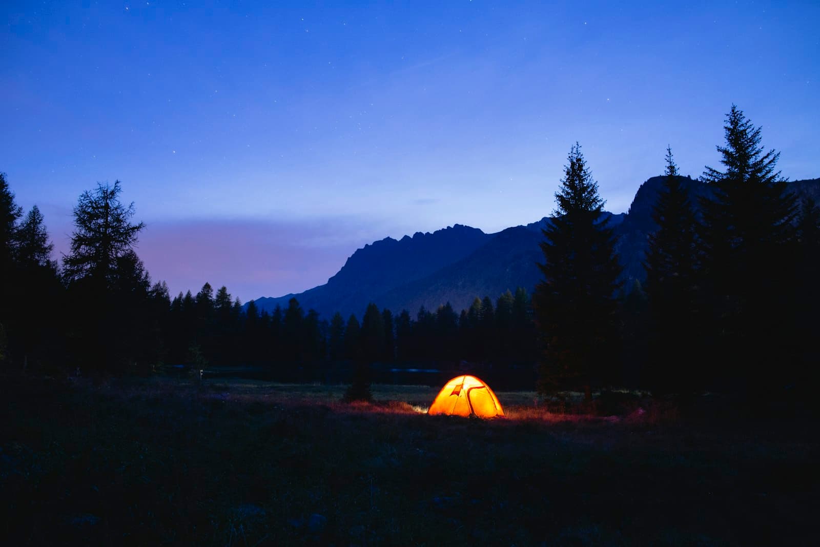 A tent glowing at blue hour beneath a dark treeline